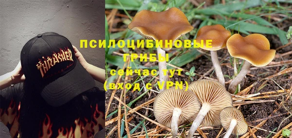 каннабис Бородино