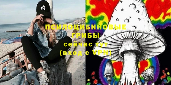 каннабис Бородино